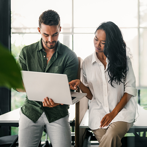 IRD key issues 500x500